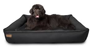 تخت خواب سگ سایز بزرگ