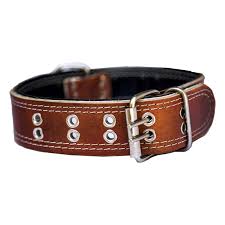 قلاده چرمی سگ