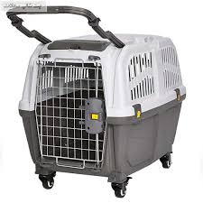 باکس حمل سگ