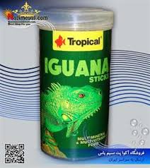 پلت ایگوانا