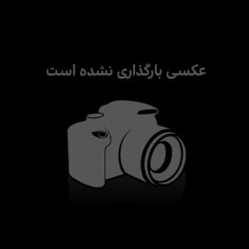 ظرف غذا استیل سگ